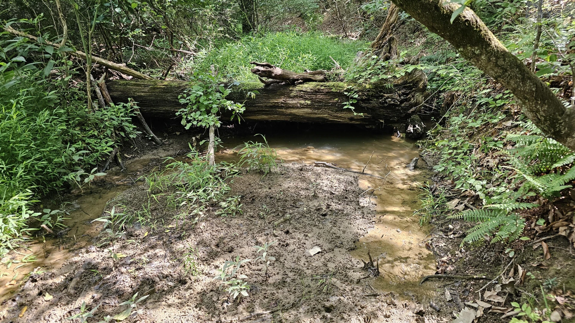 5.3 acres Gravel Ln - Photo 4