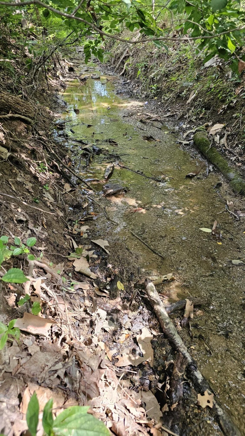 5.3 acres Gravel Ln - Photo 5