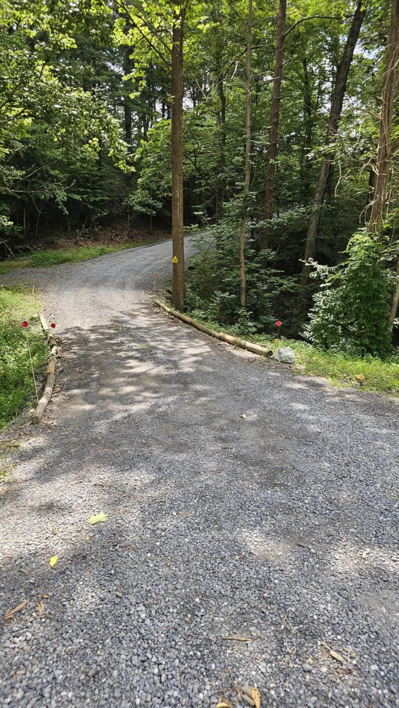 5.3 acres Gravel Ln - Photo 8