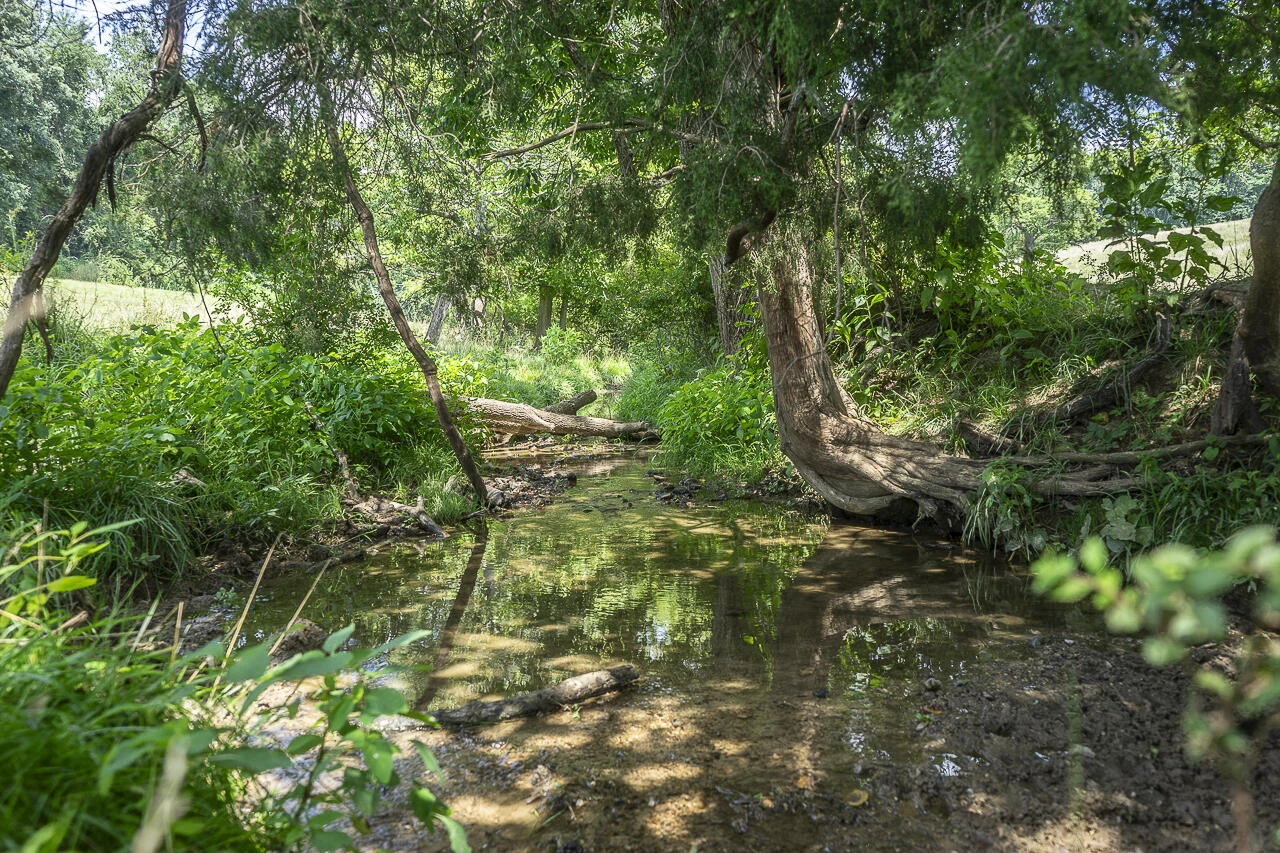151 Acres Sunnybrook Rd - Photo 12