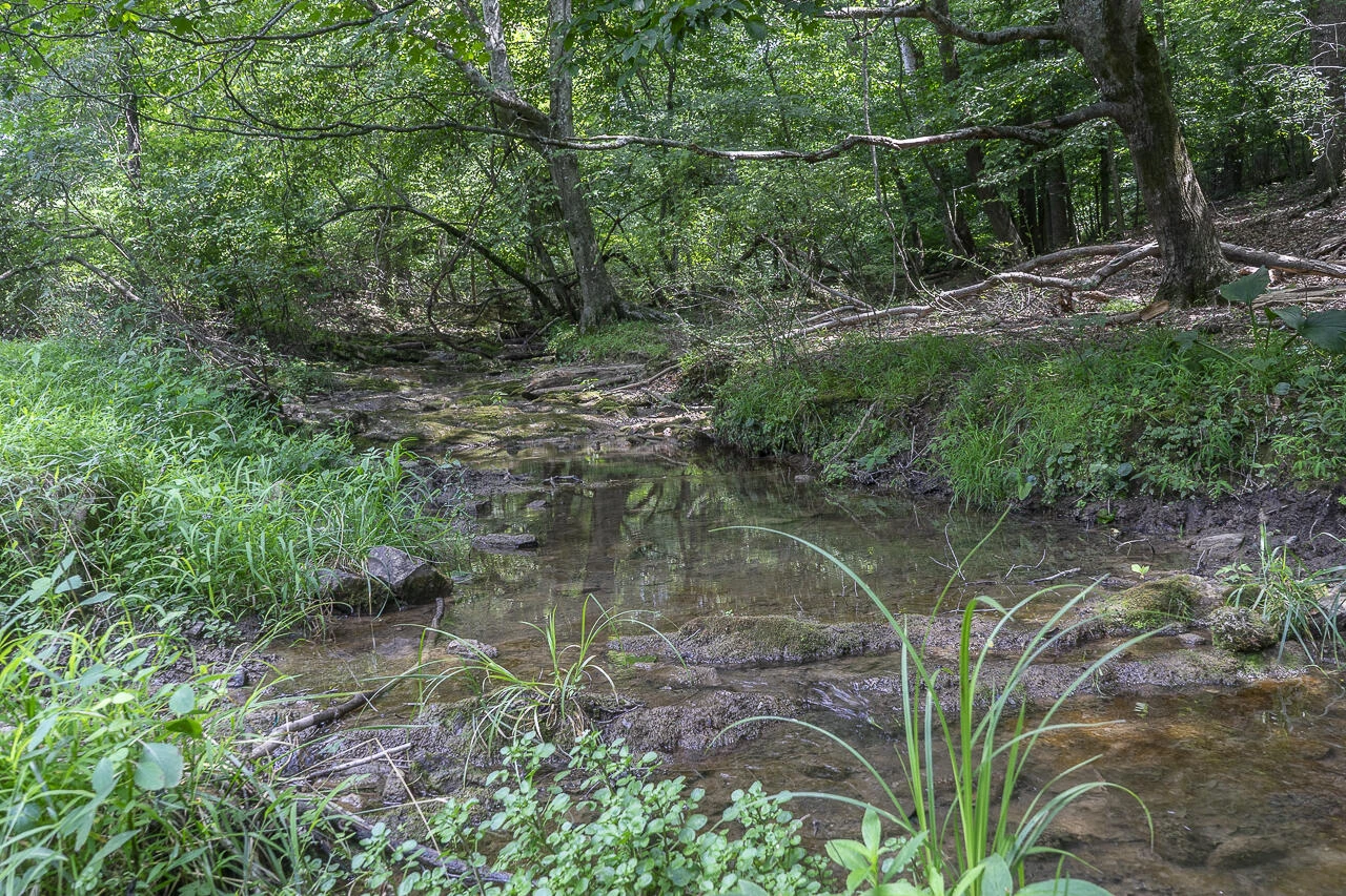 151 Acres Sunnybrook Rd - Photo 13