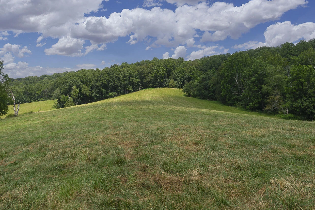 151 Acres Sunnybrook Rd - Photo 14