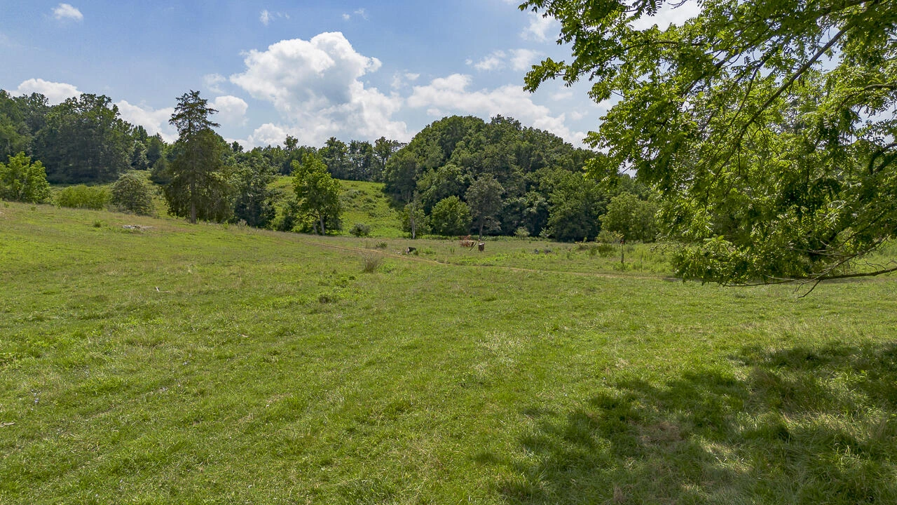 151 Acres Sunnybrook Rd - Photo 15