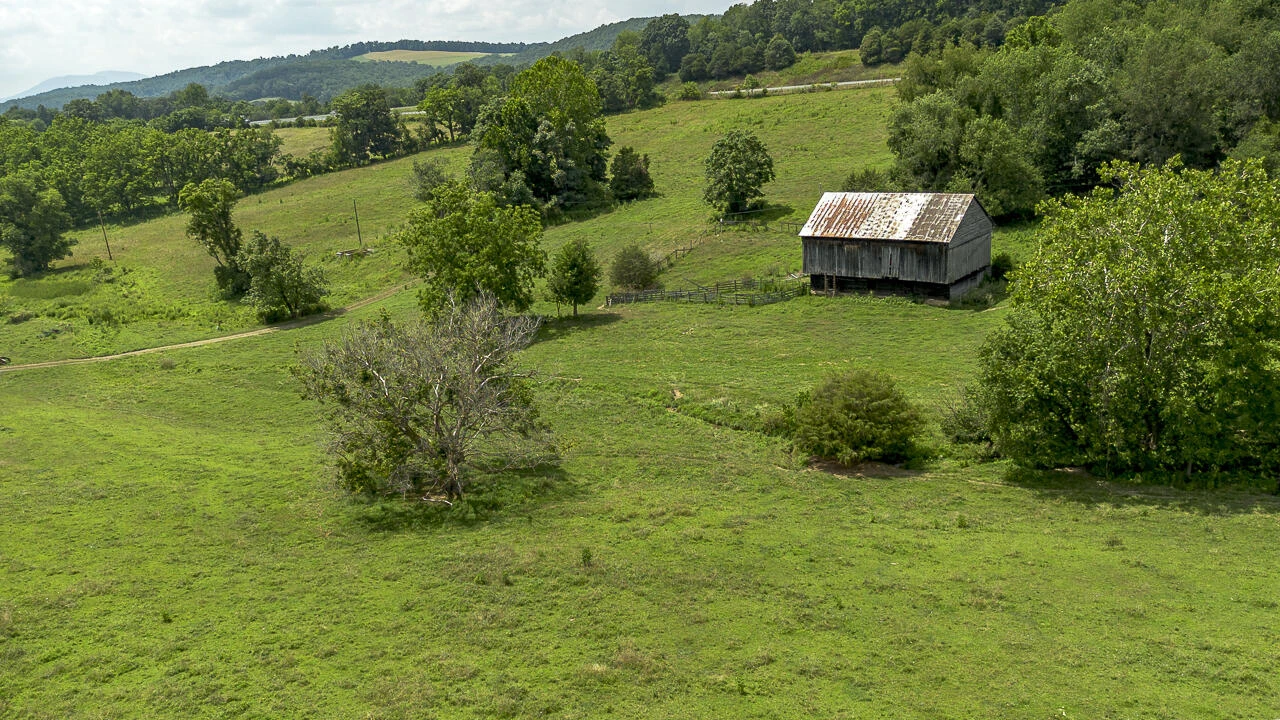 151 Acres Sunnybrook Rd - Photo 16