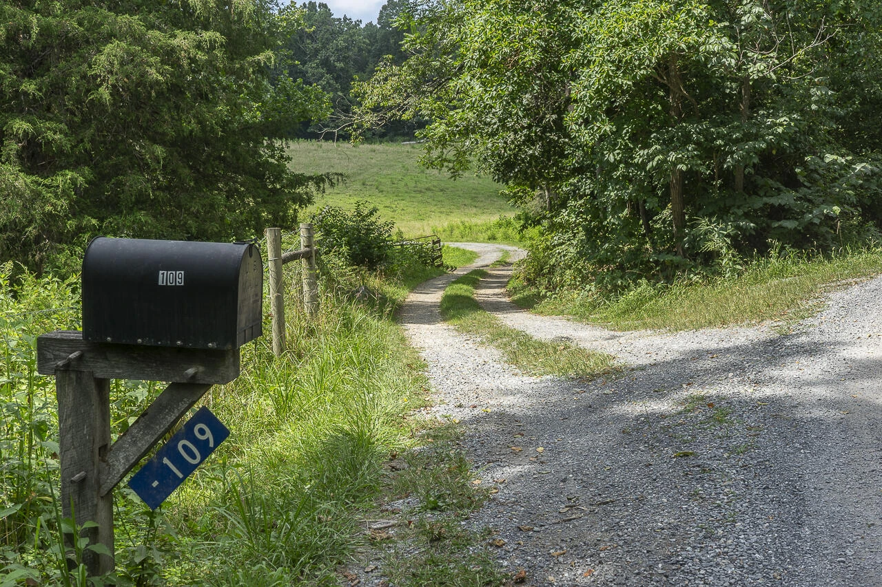 151 Acres Sunnybrook Rd - Photo 17
