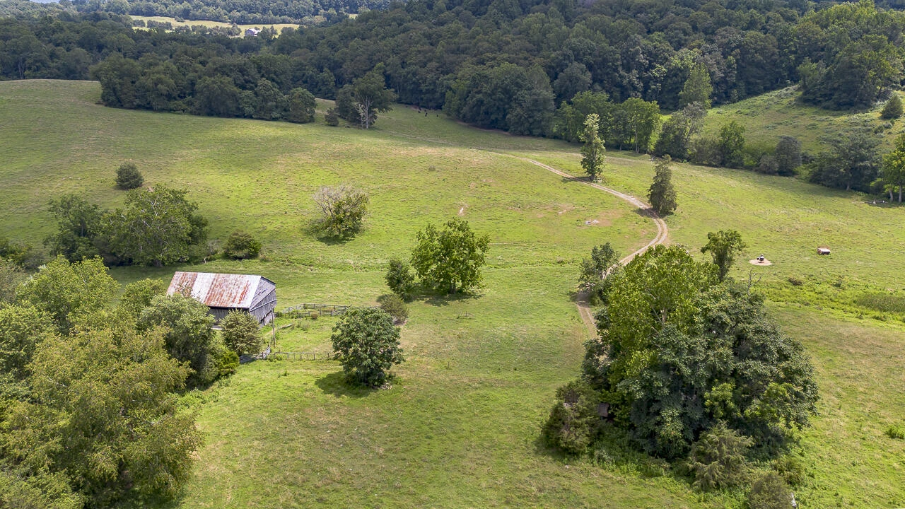 151 Acres Sunnybrook Rd - Photo 2