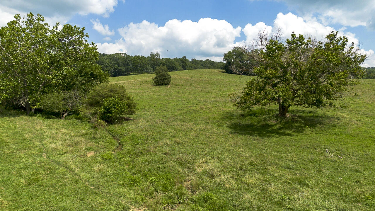 151 Acres Sunnybrook Rd - Photo 3