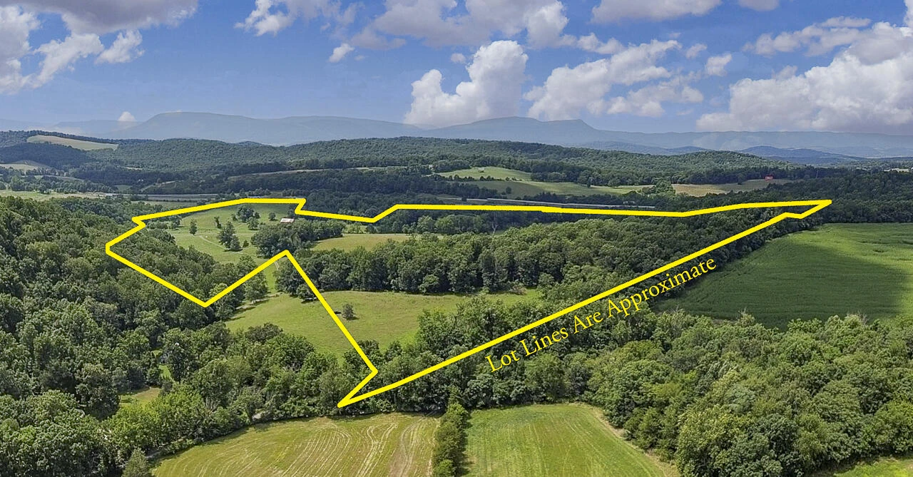 151 Acres Sunnybrook Rd - Photo 6