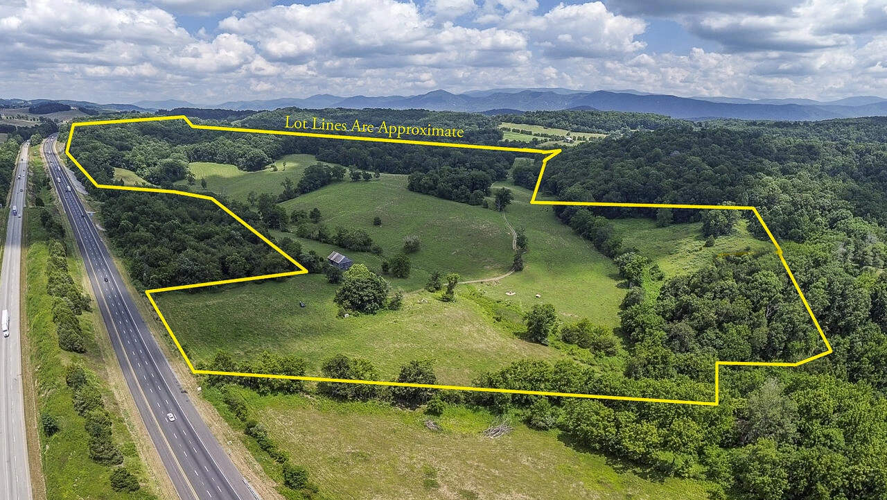 151 Acres Sunnybrook Rd - Photo 7