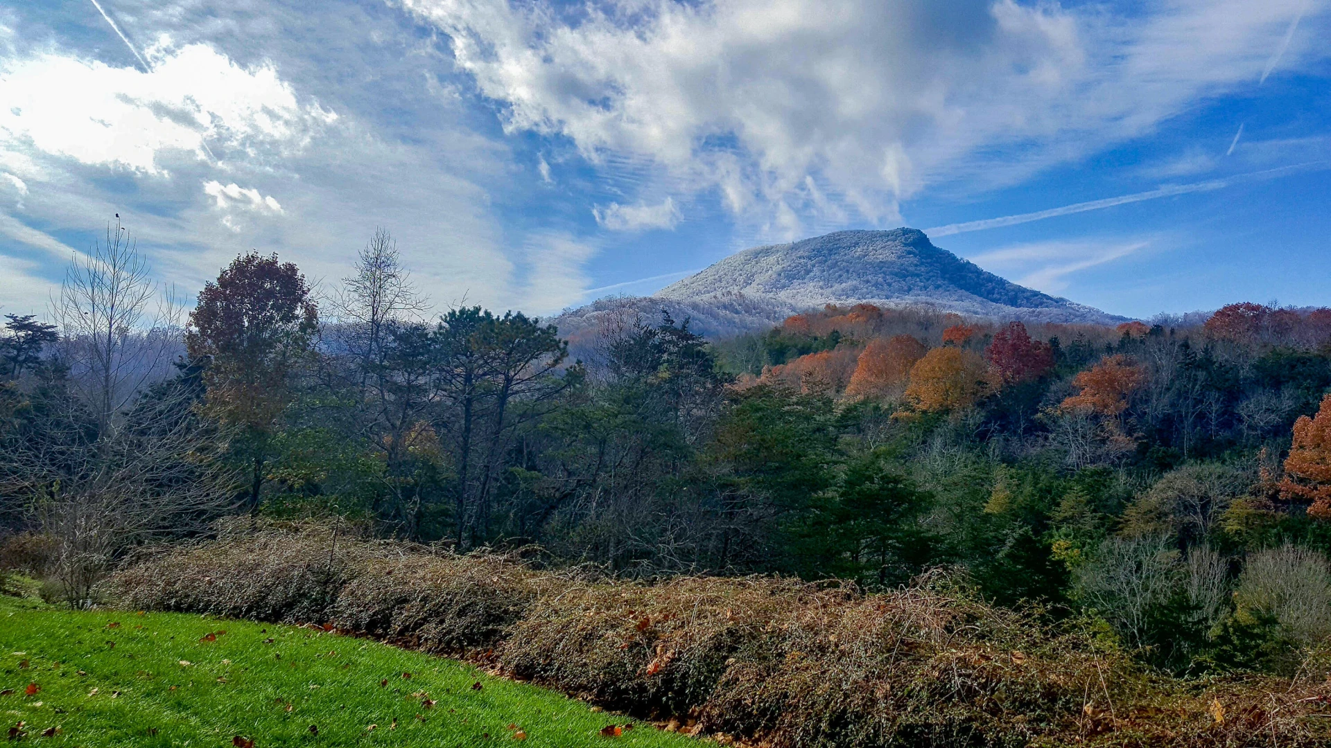 825 Still House Dr - Photo 67