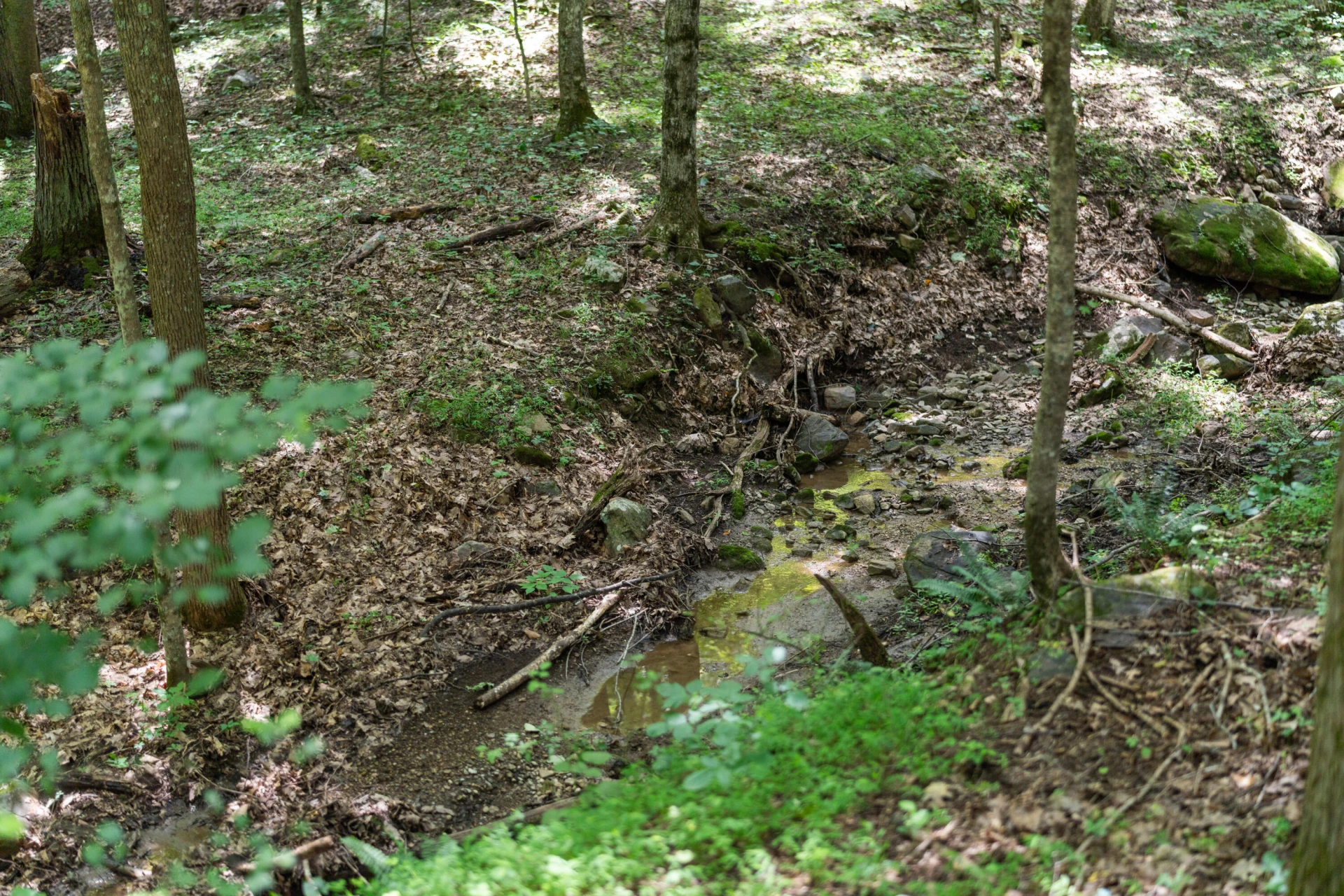 440 Hollow Ln - Photo 47