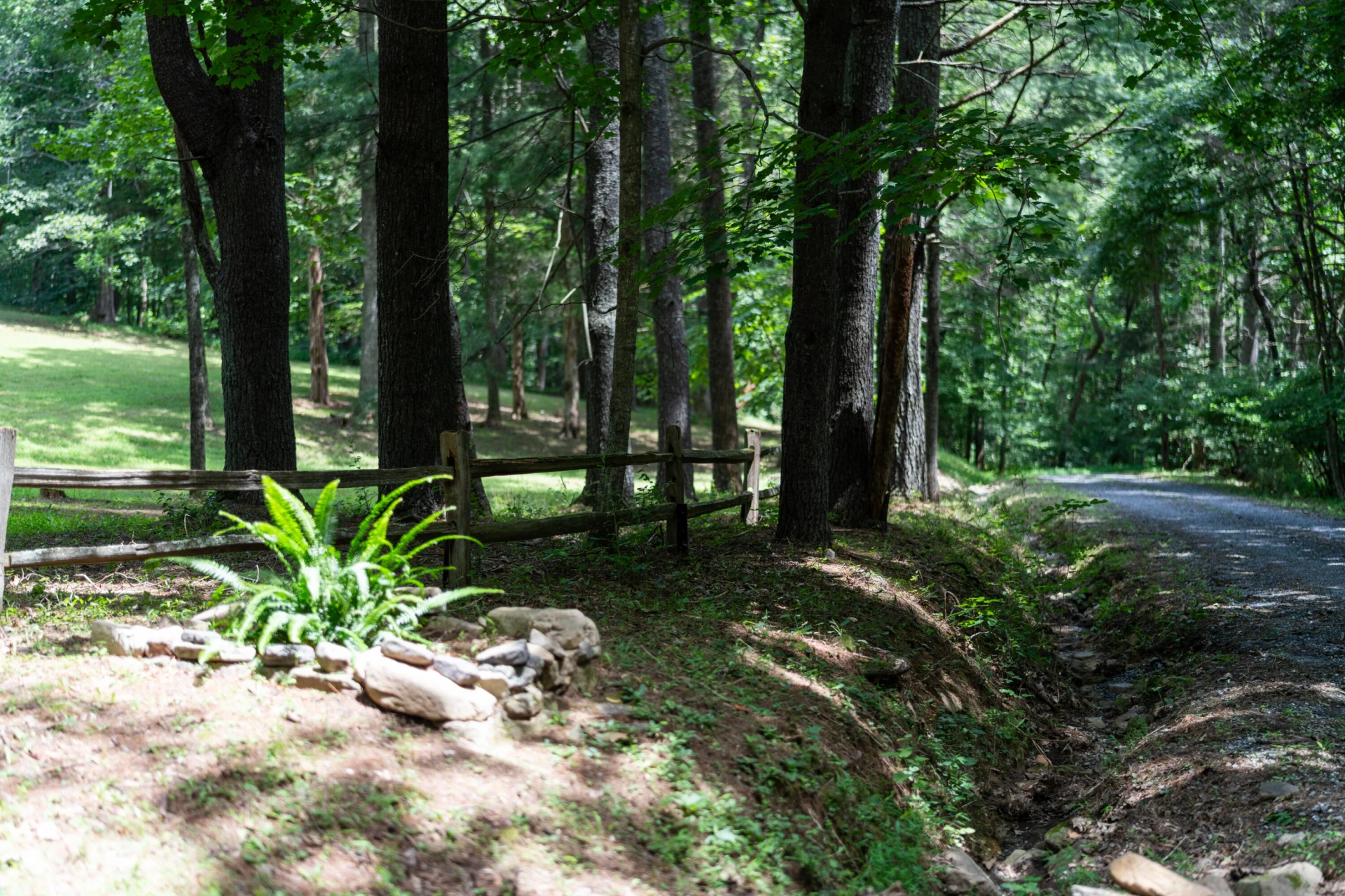 440 Hollow Ln - Photo 48
