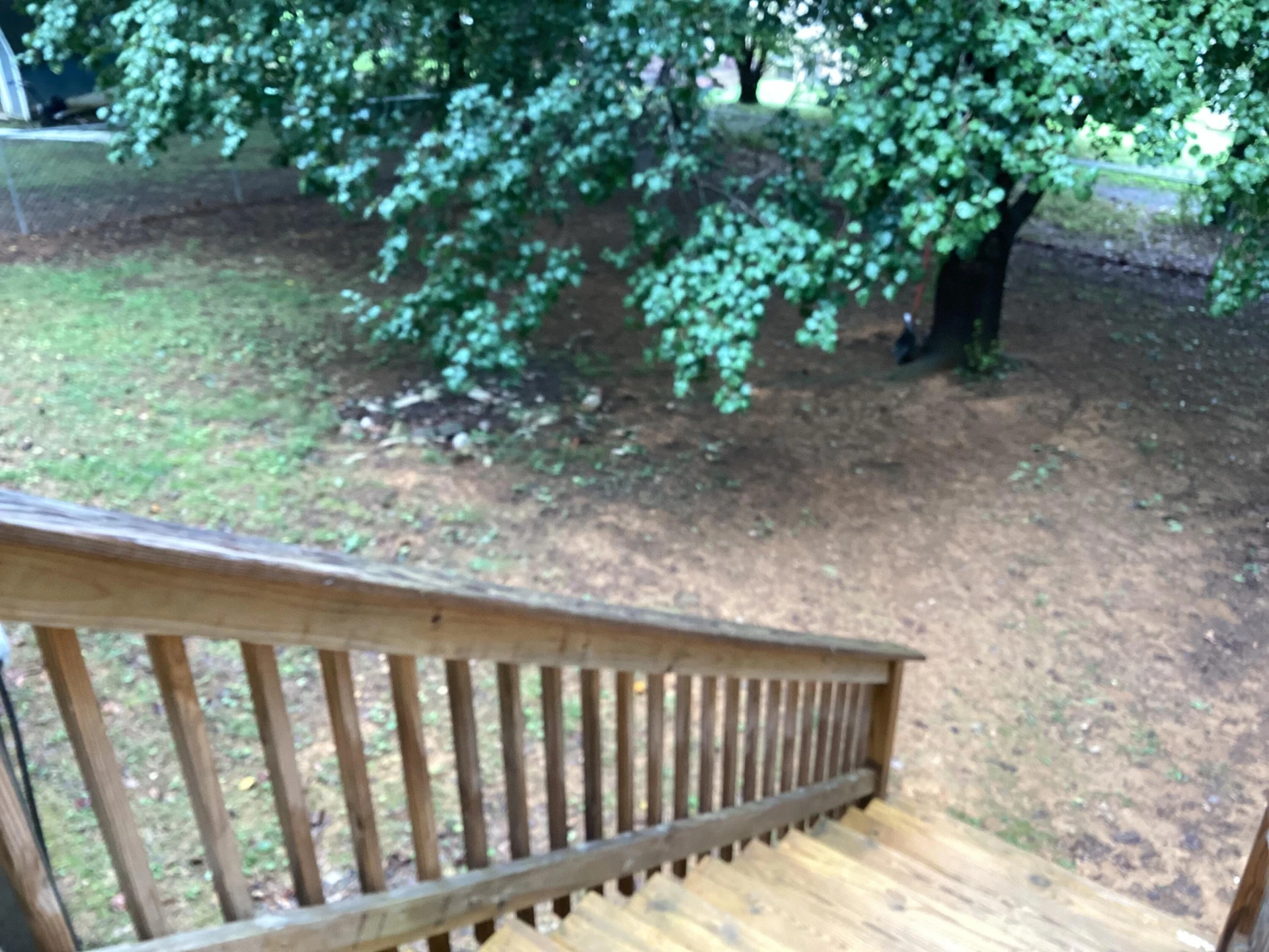 1735 Pine Ave - Photo 13