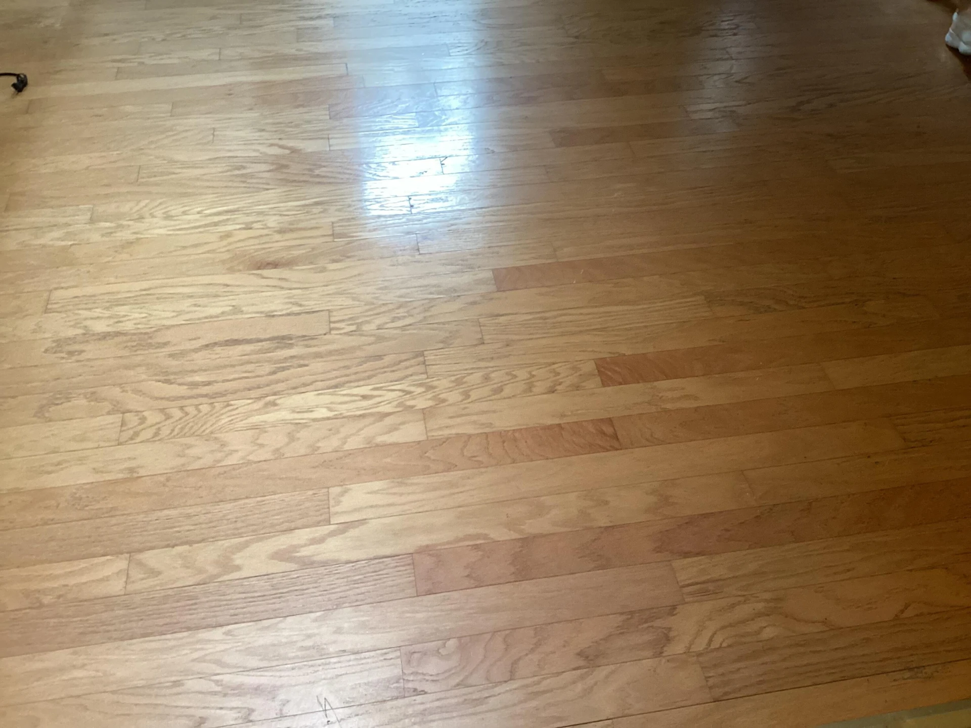 1735 Pine Ave - Photo 16