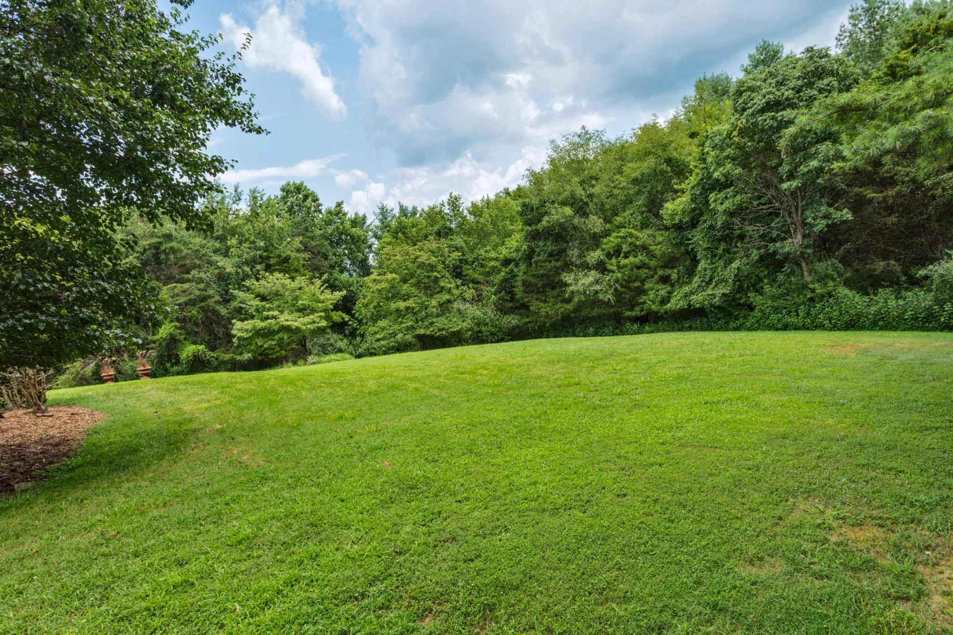158 Forest Hill View - Photo 51