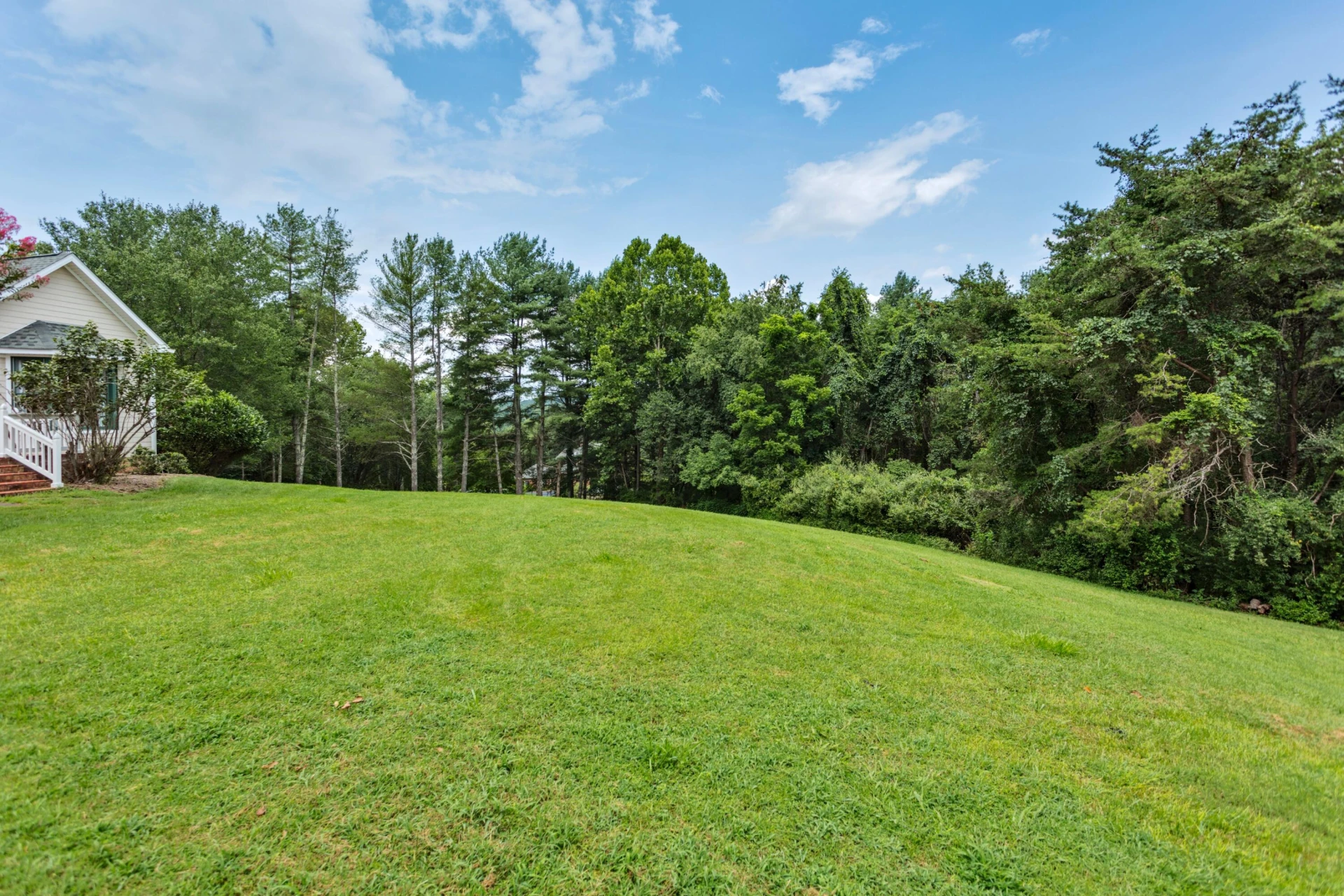 158 Forest Hill View - Photo 54