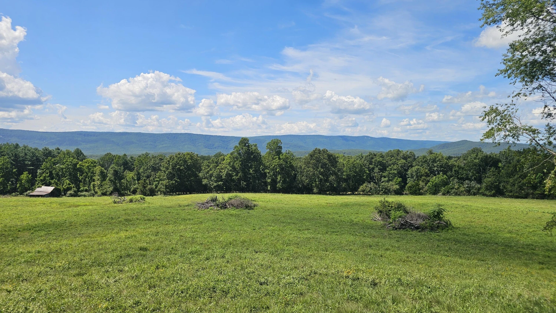 534 Knob Rd - Photo 20
