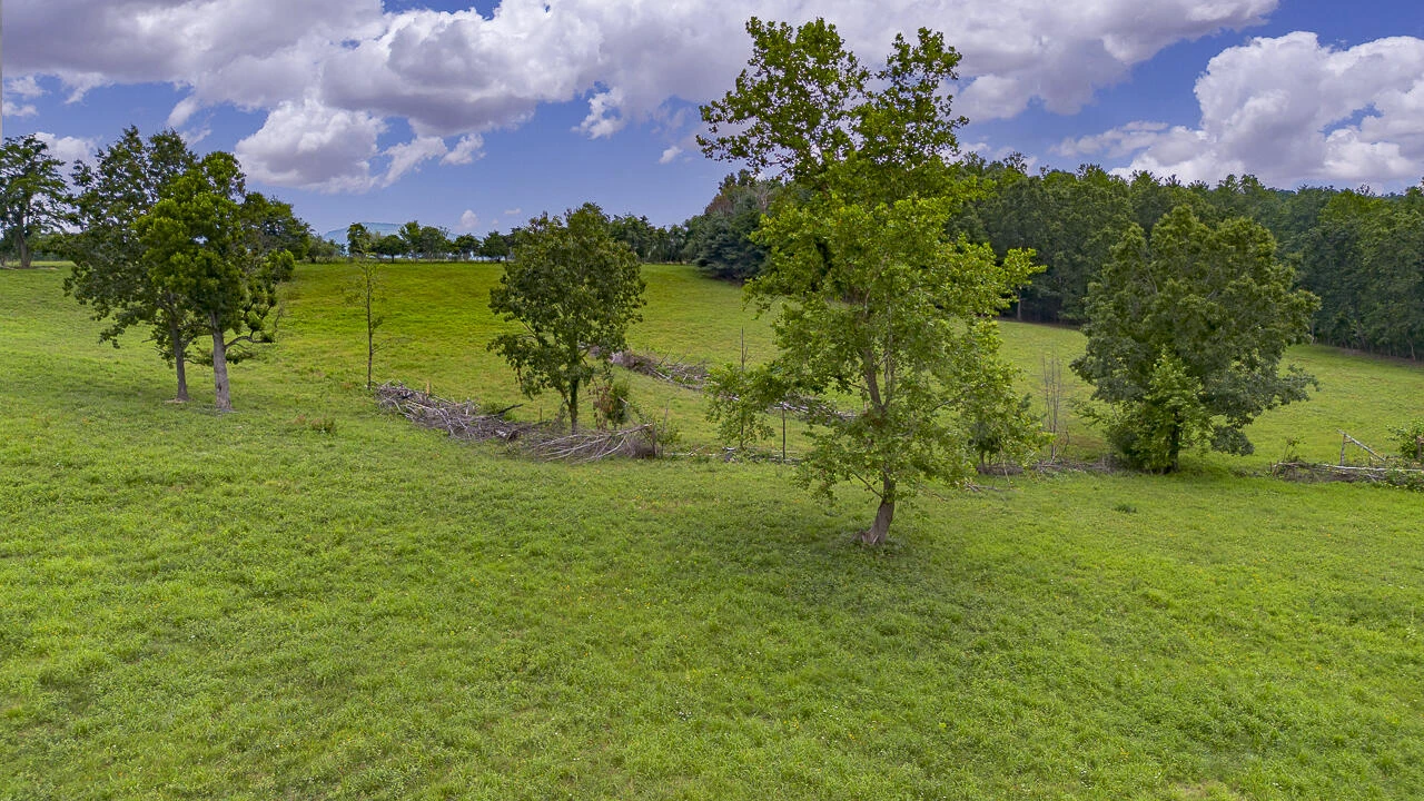534 Knob Rd - Photo 24
