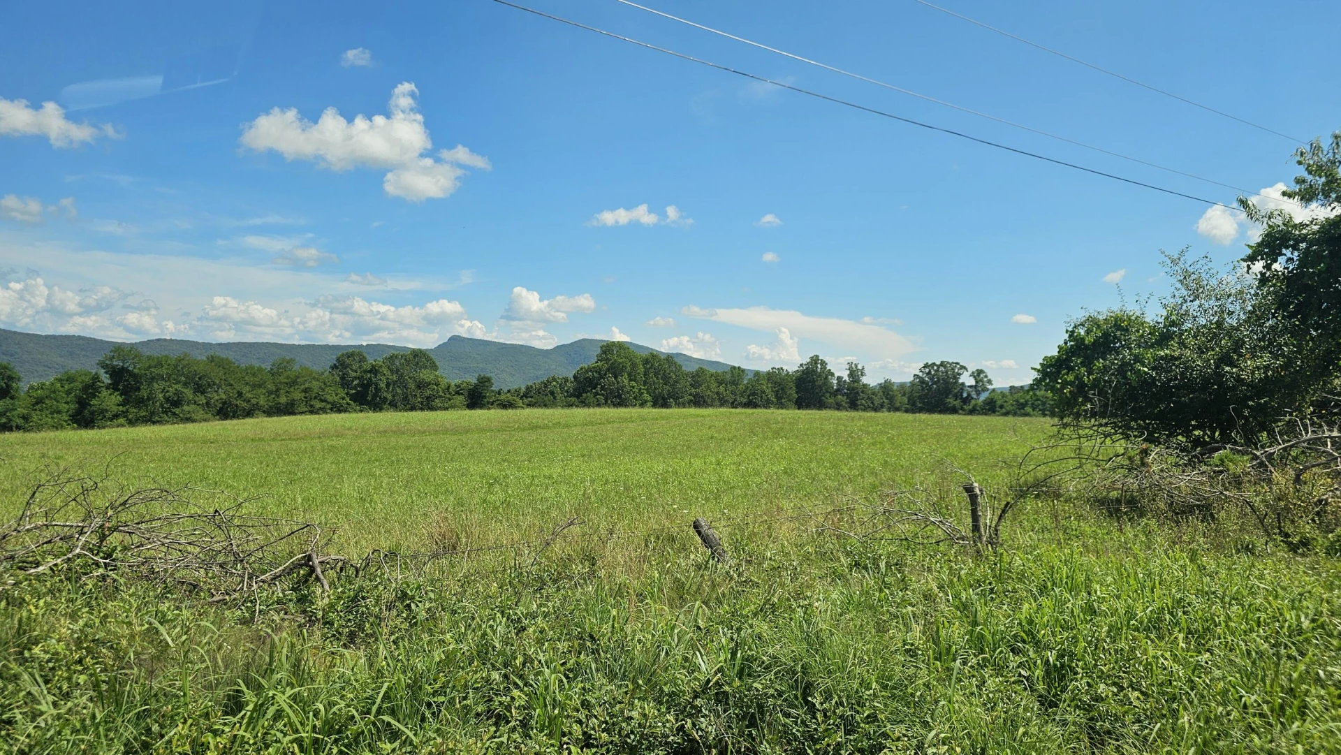 534 Knob Rd - Photo 29