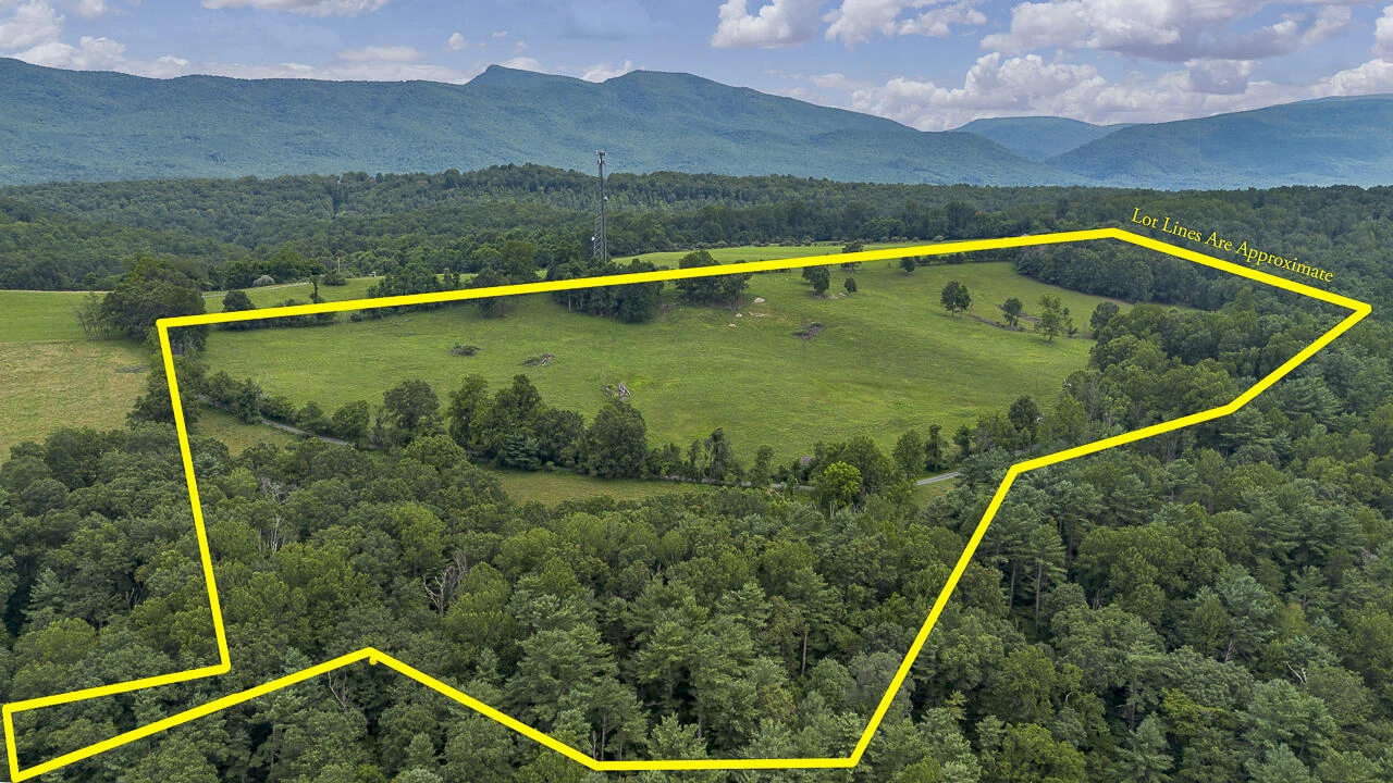534 Knob Rd - Photo 3