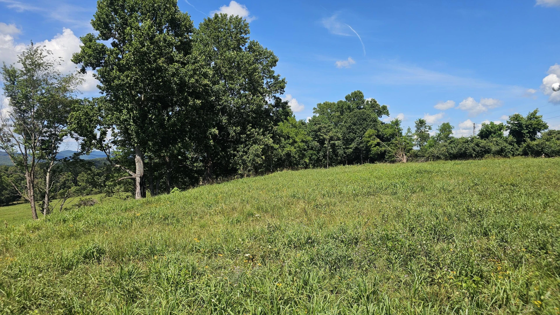 534 Knob Rd - Photo 30