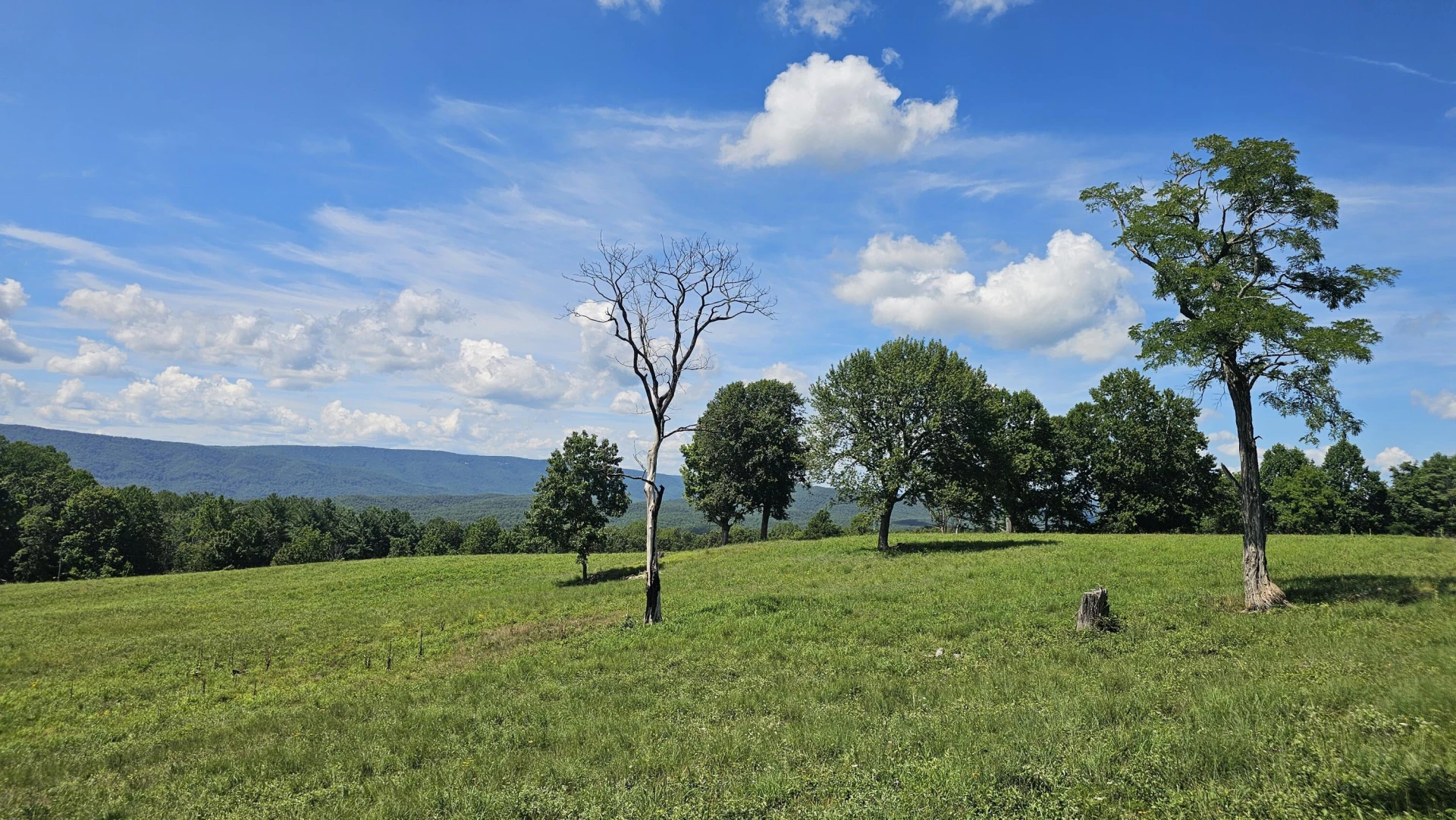 534 Knob Rd - Photo 31