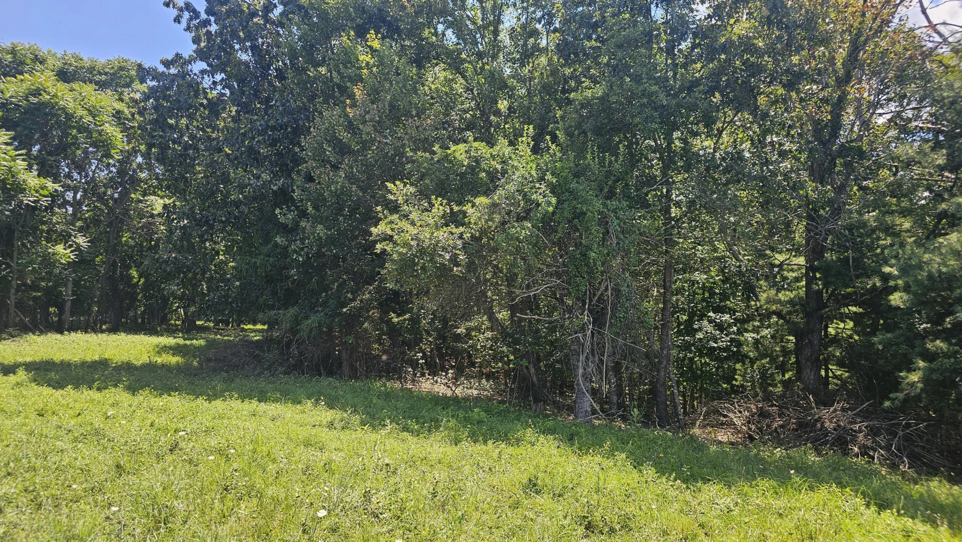 534 Knob Rd - Photo 32