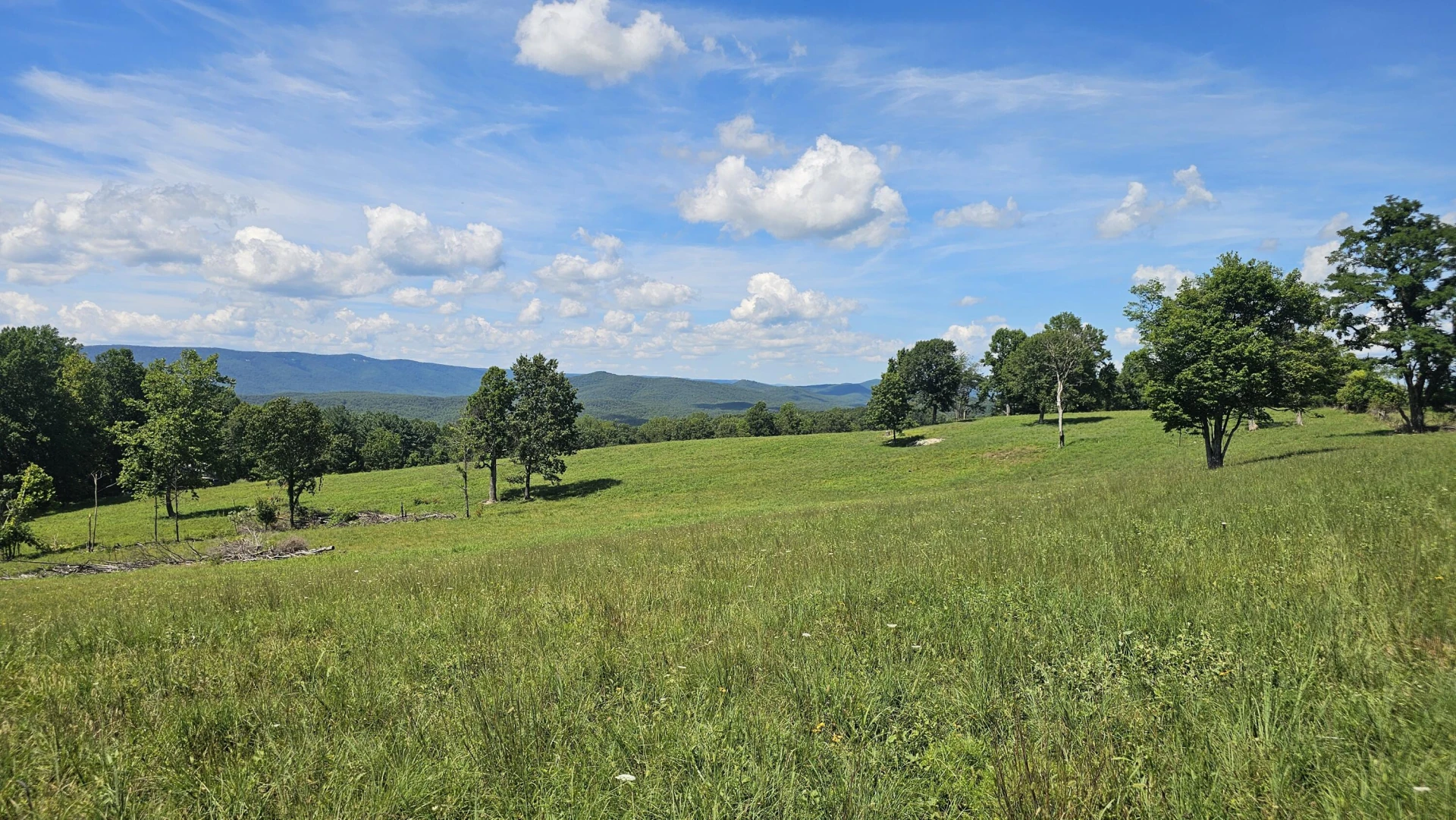 534 Knob Rd - Photo 33