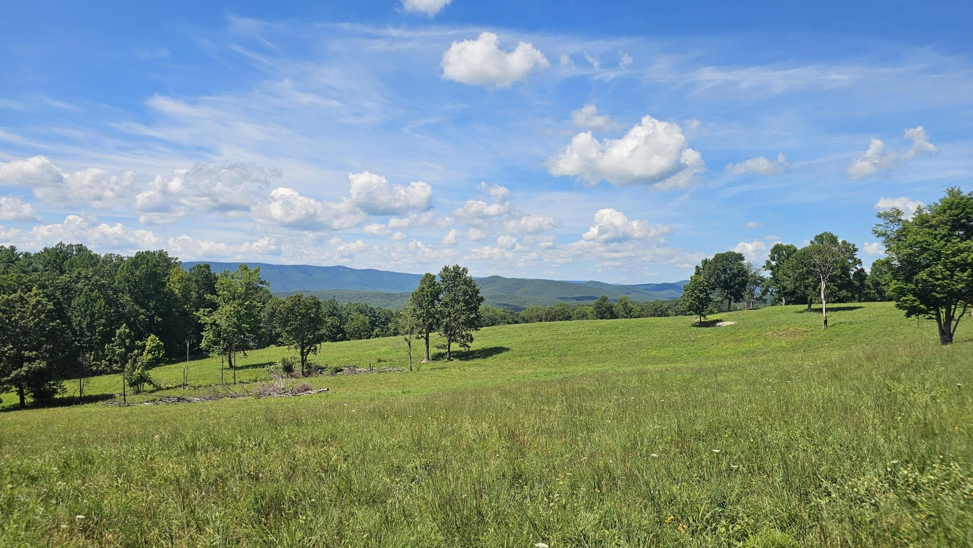 534 Knob Rd - Photo 34