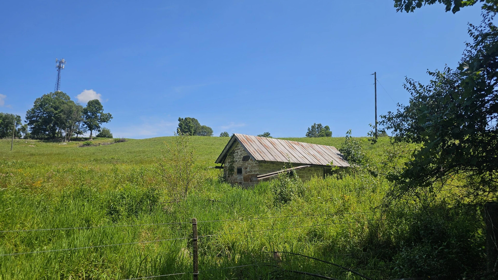 534 Knob Rd - Photo 35