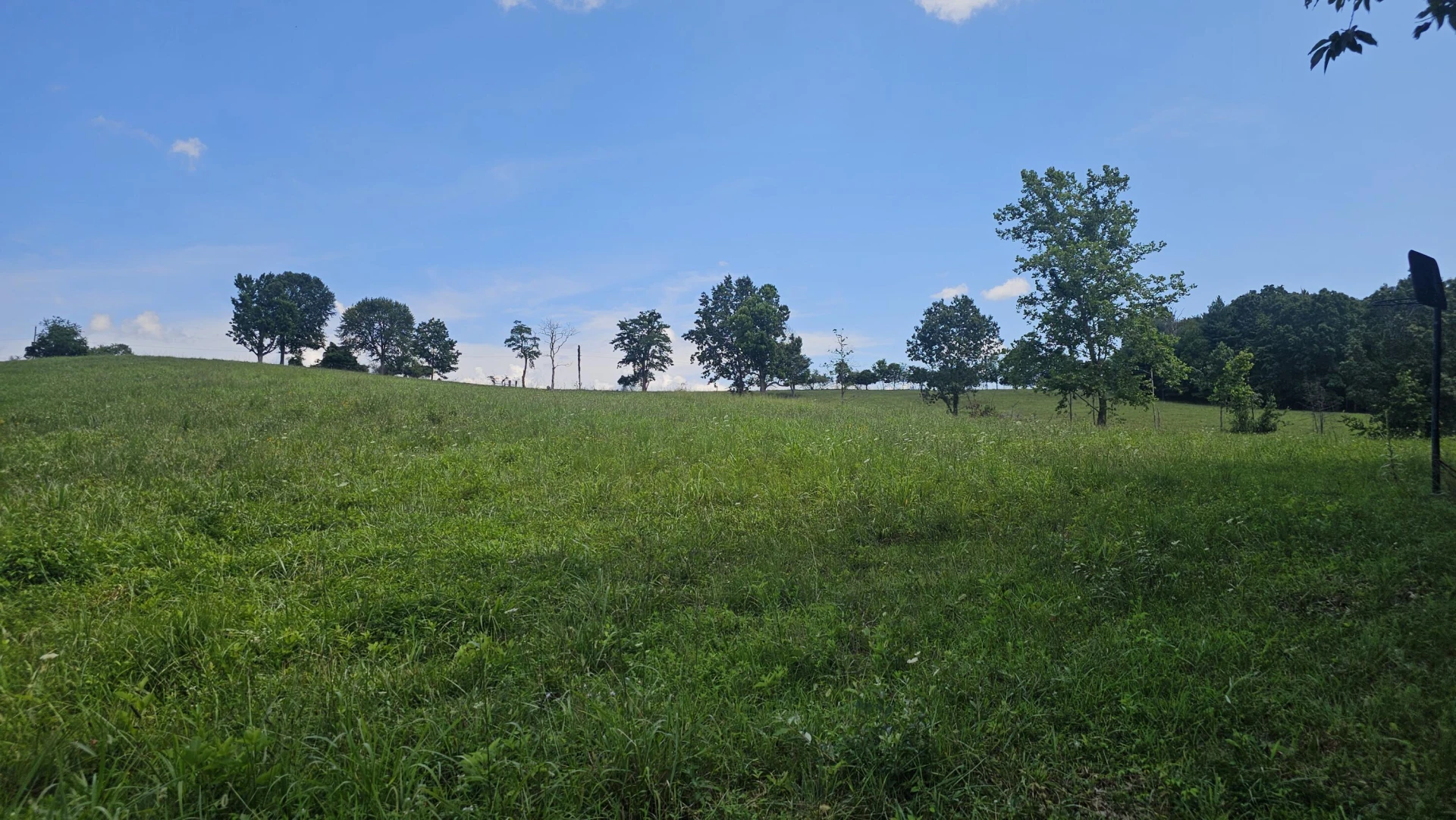 534 Knob Rd - Photo 36