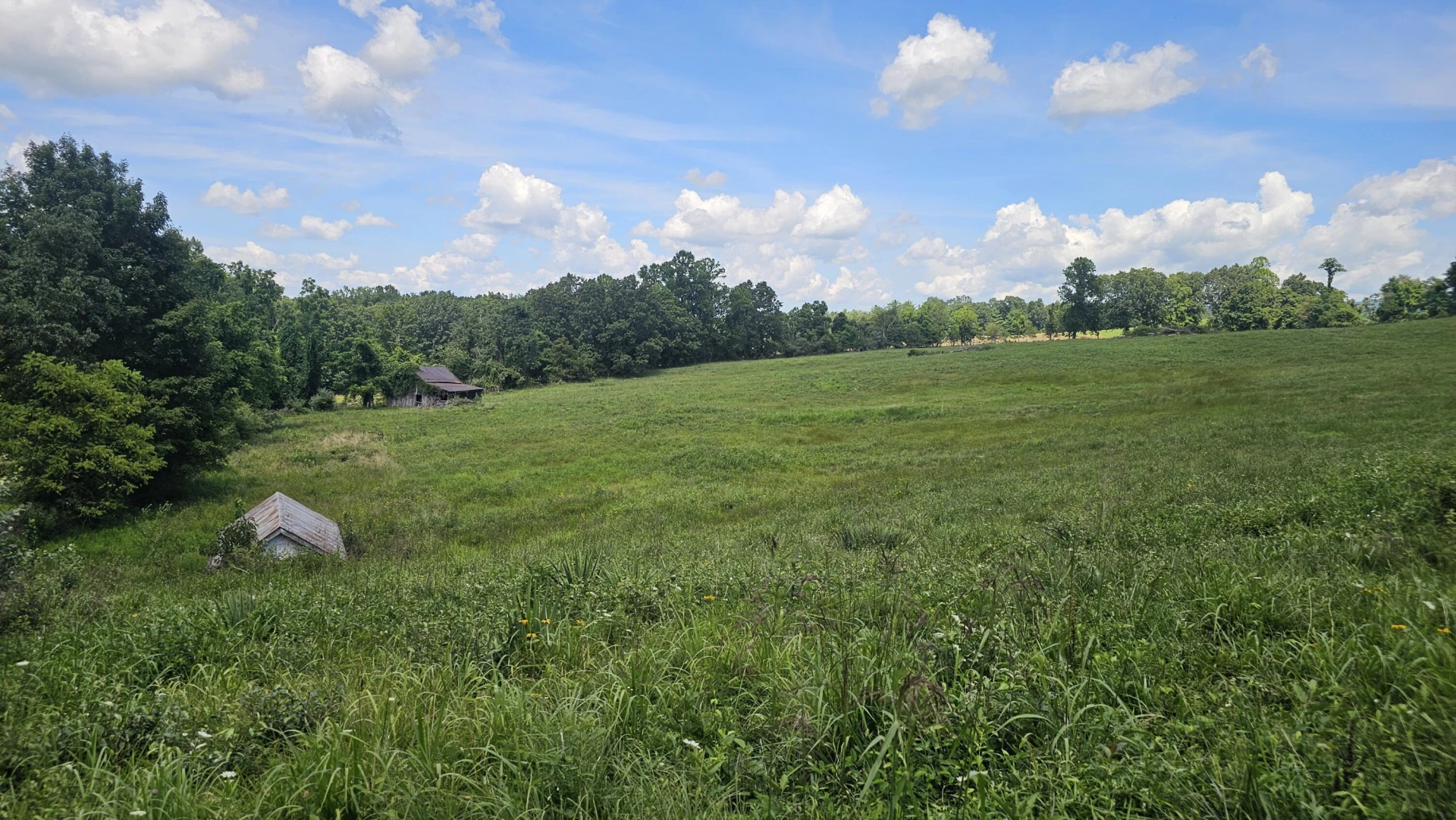 534 Knob Rd - Photo 37