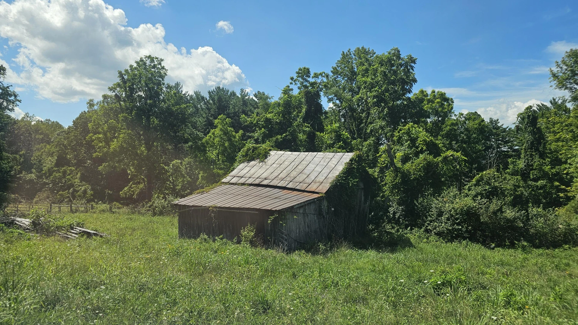 534 Knob Rd - Photo 4