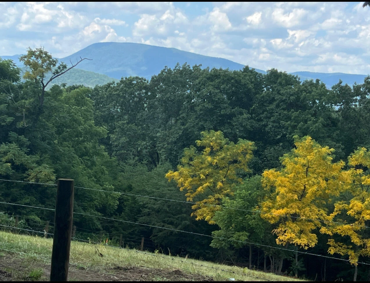 2.02 Acres Smokey Row Rd - Photo 2