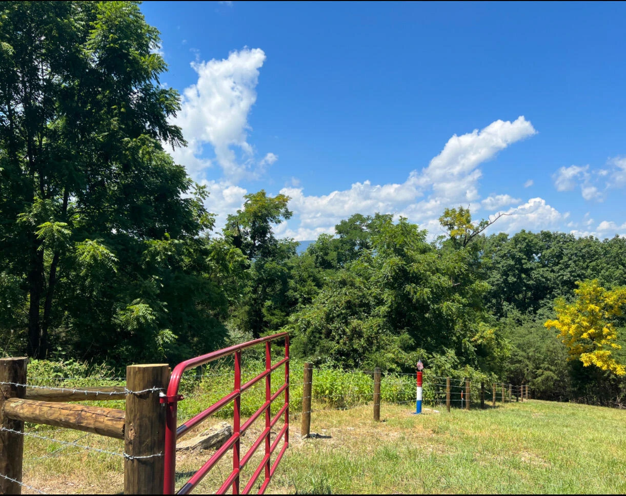 2.02 Acres Smokey Row Rd - Photo 9