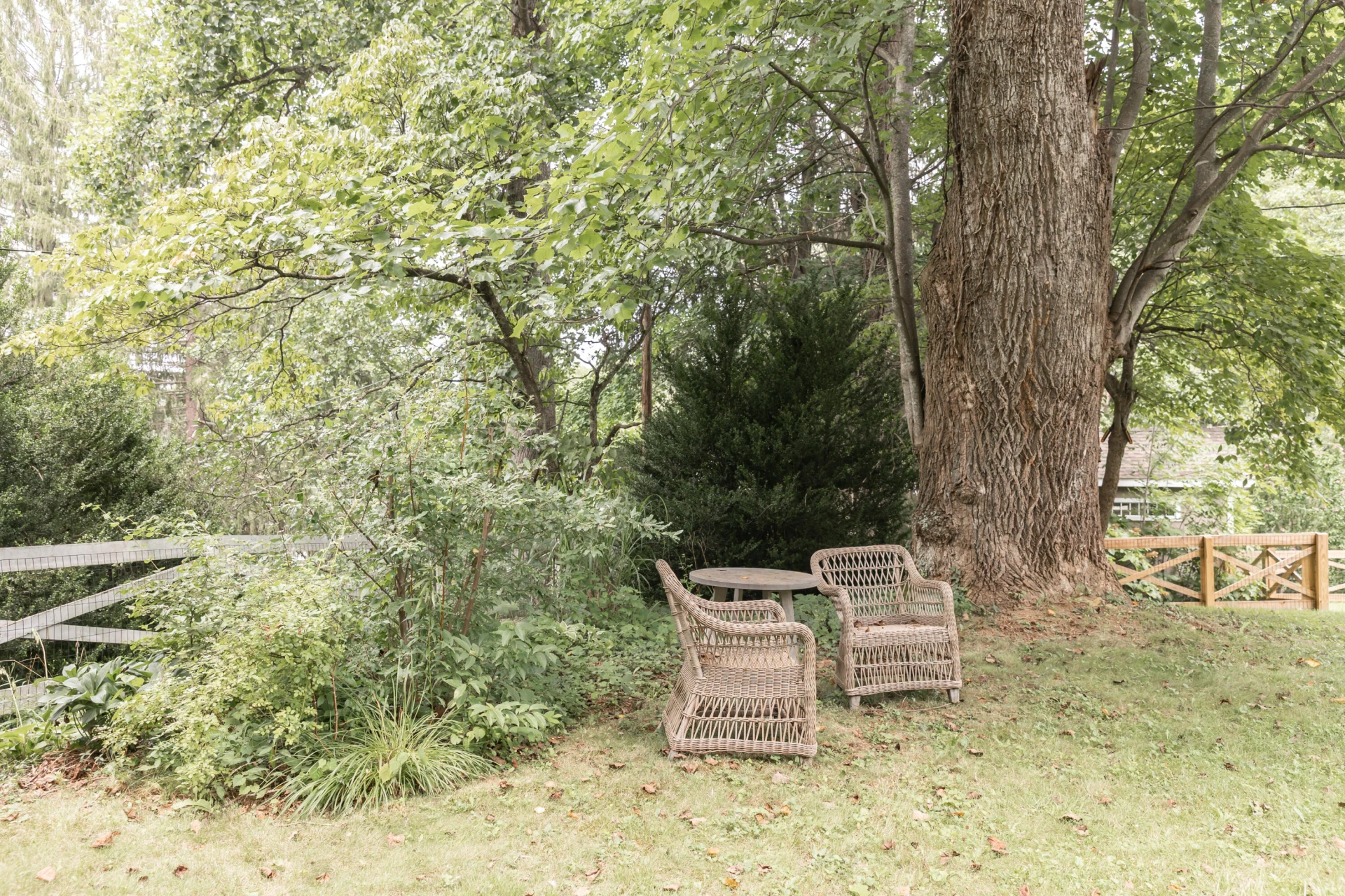 59 McClintic Heights Dr - Photo 40
