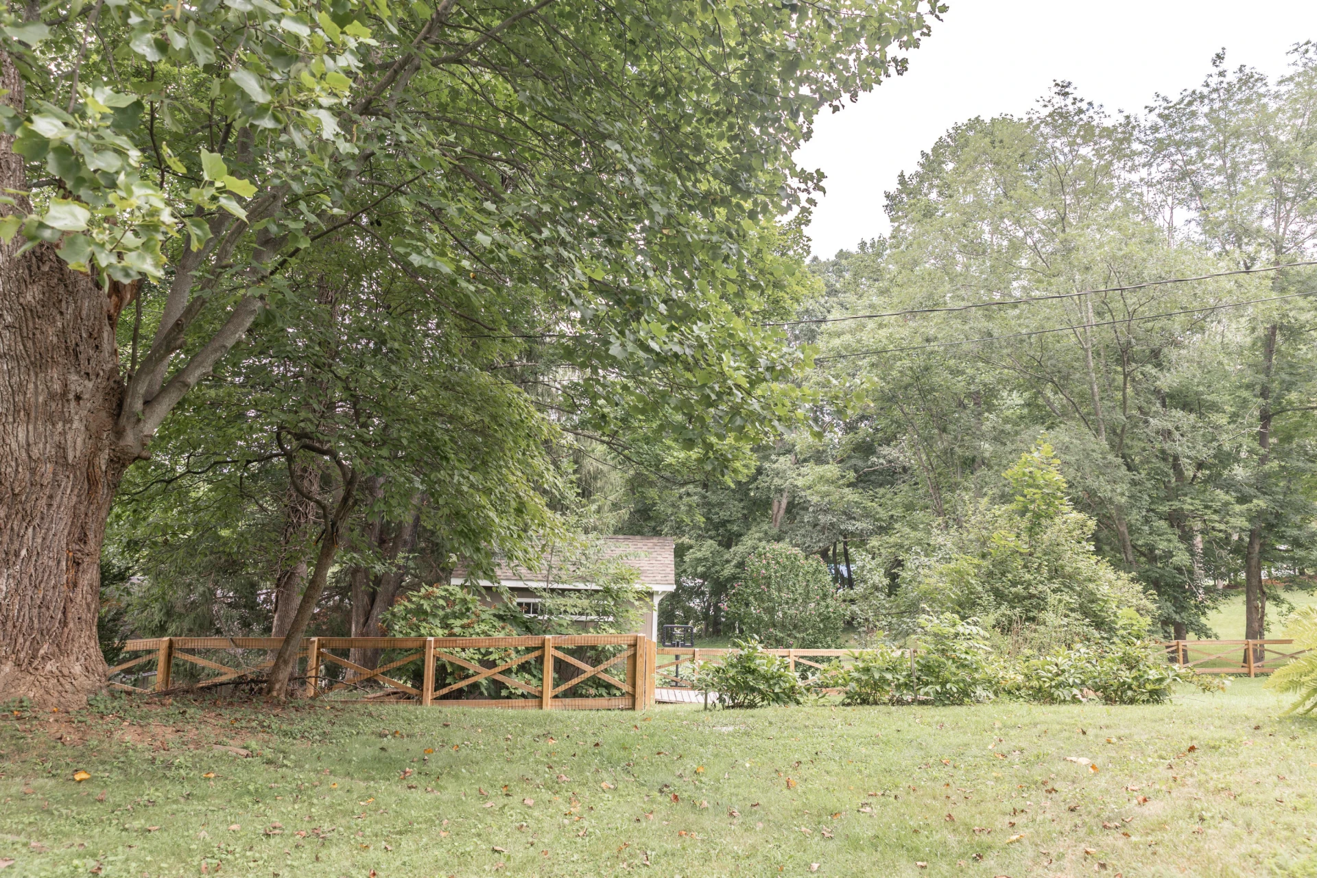 59 McClintic Heights Dr - Photo 41