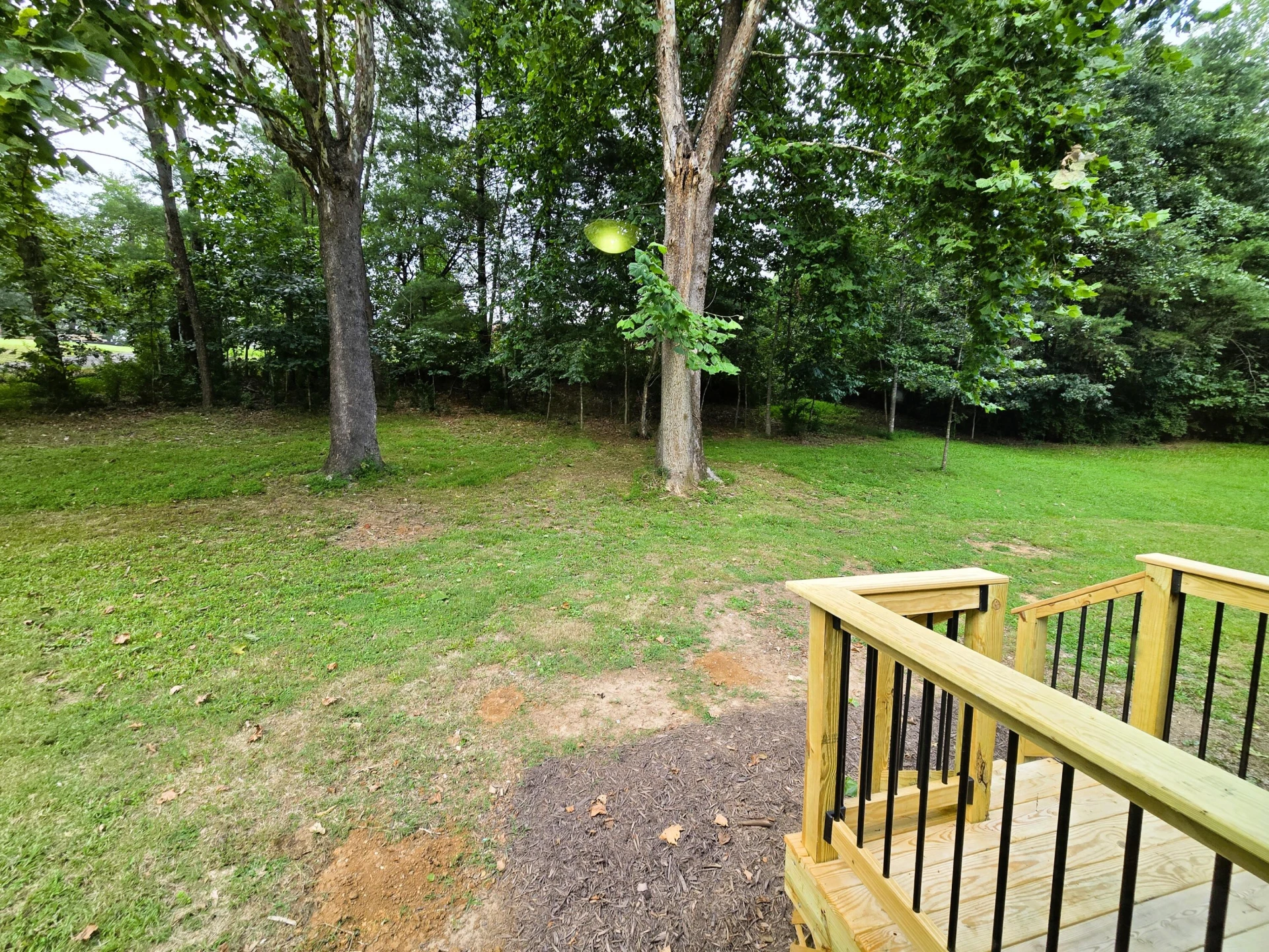 227 Chessie Ln - Photo 17