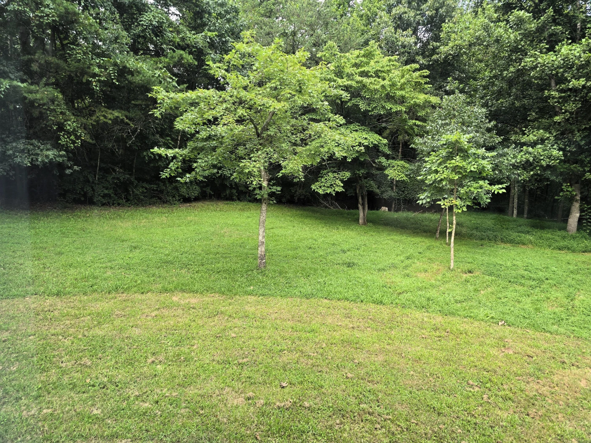 227 Chessie Ln - Photo 47