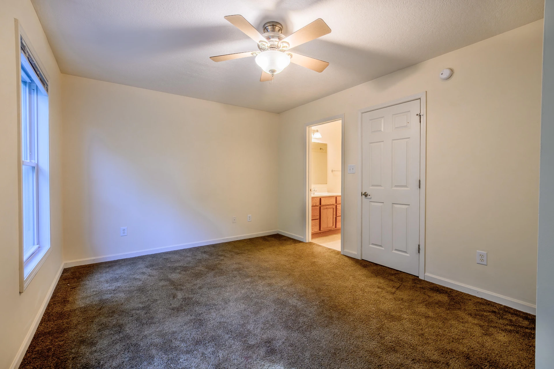 107 Trimmer Trl - Photo 18