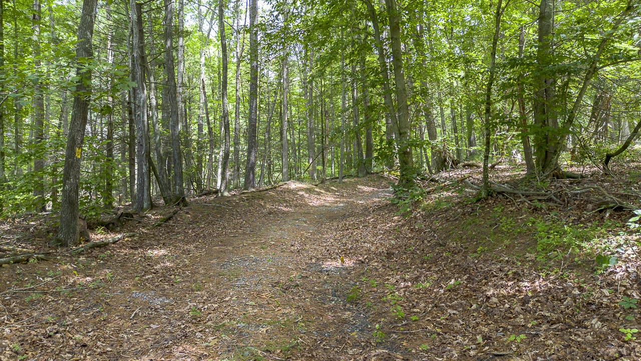 1560 Pedlar River Rd - Photo 25