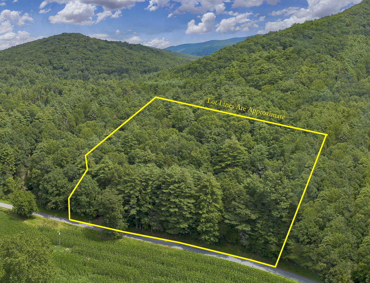 1560 Pedlar River Rd - Photo 6