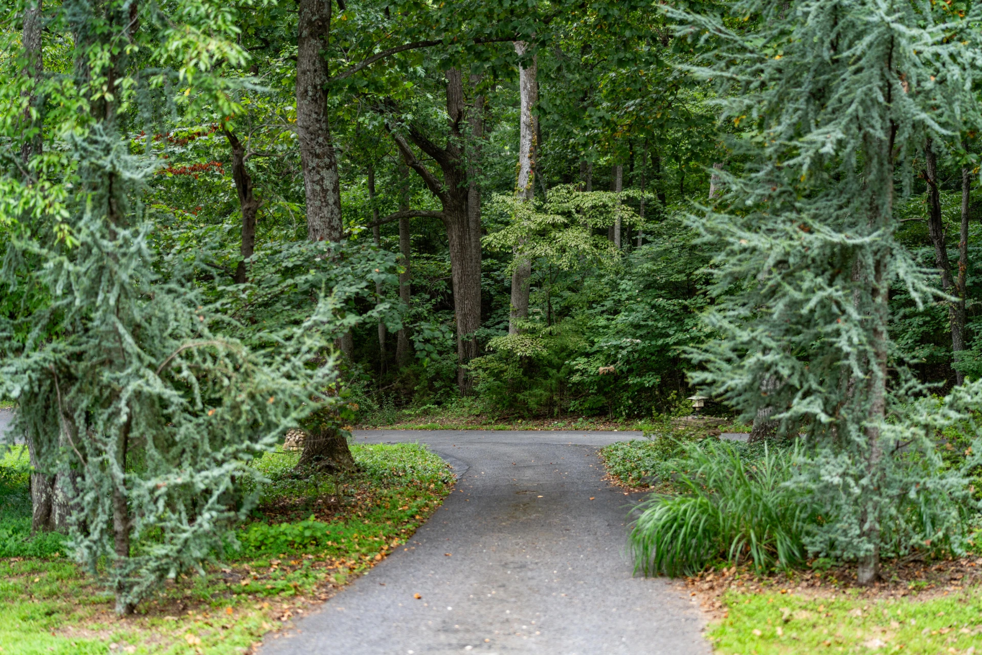 82 Ridgeview Ln - Photo 42