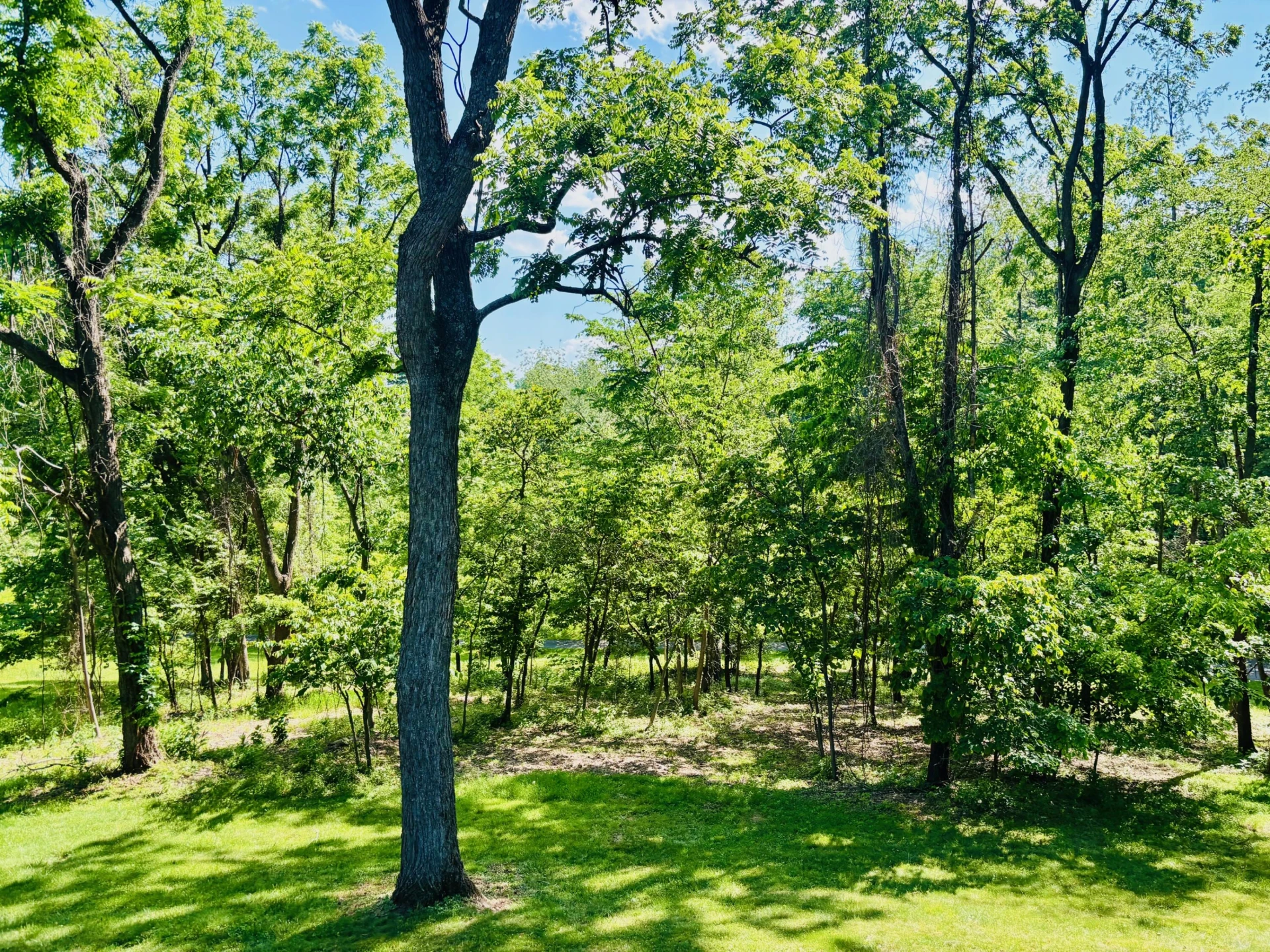 82 Ridgeview Ln - Photo 59