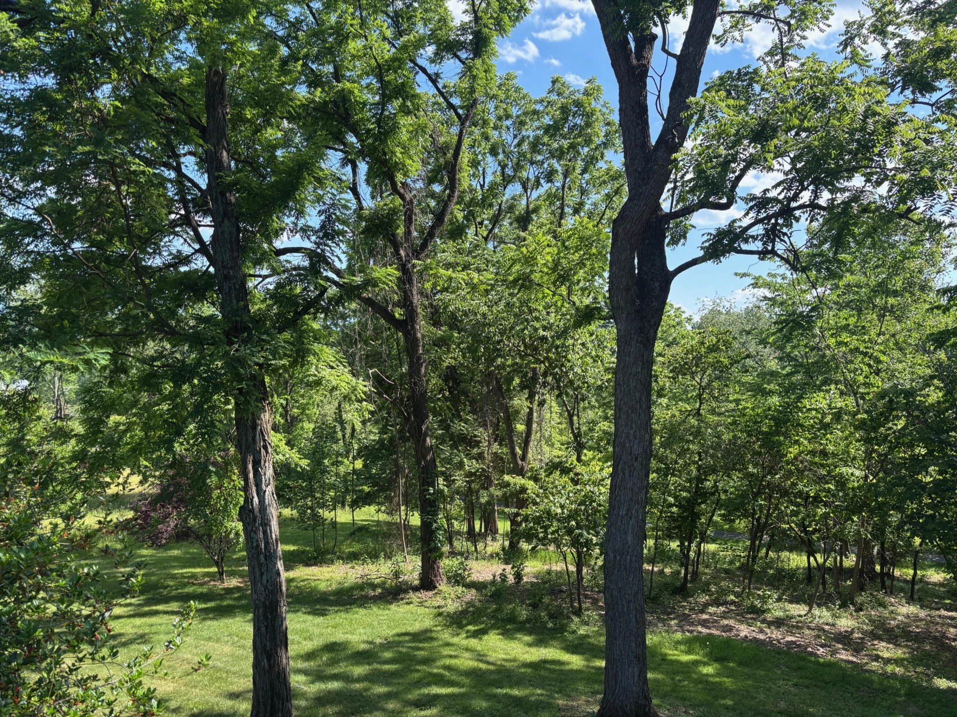 82 Ridgeview Ln - Photo 60