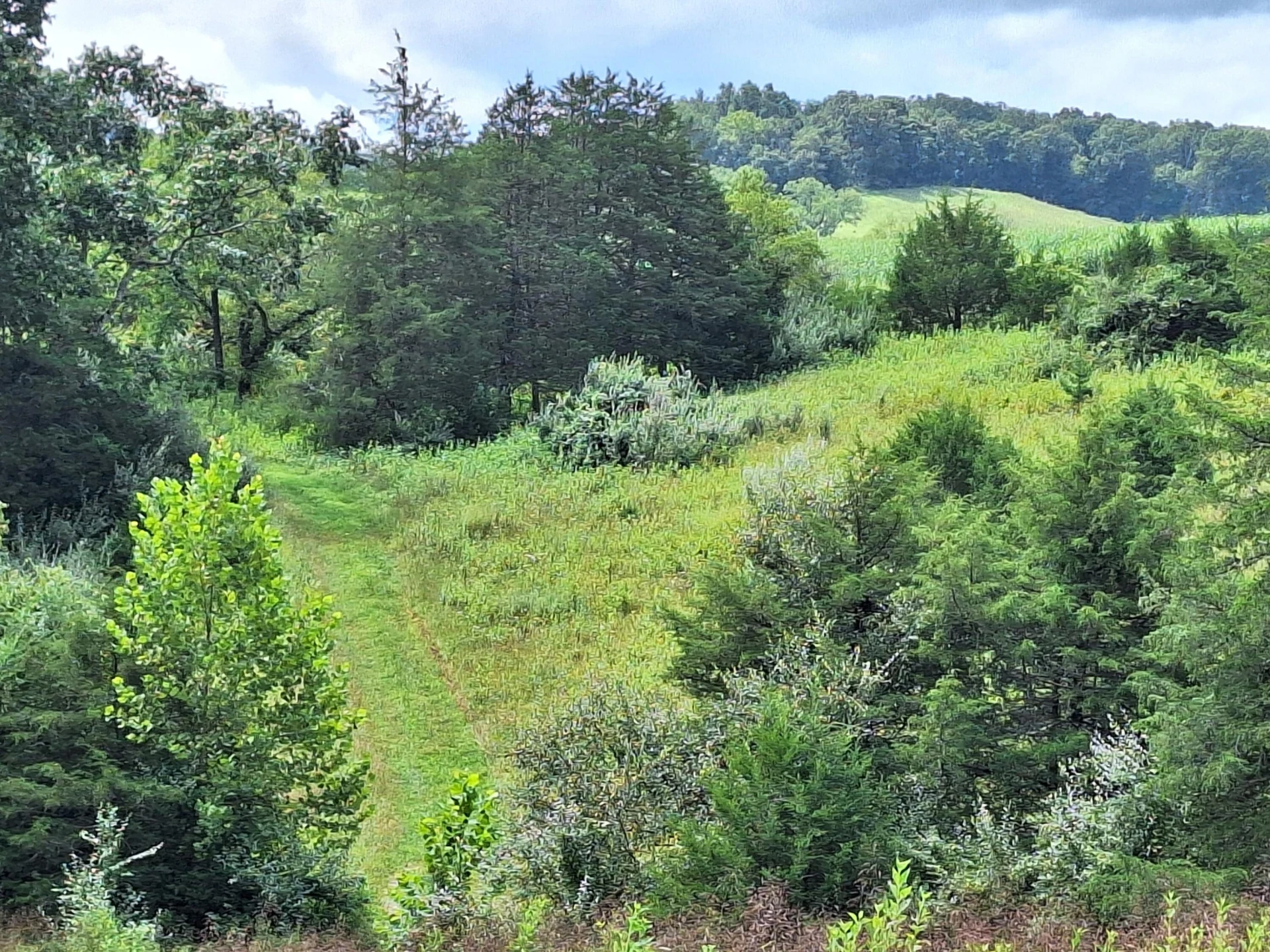 TBD Forge Rd