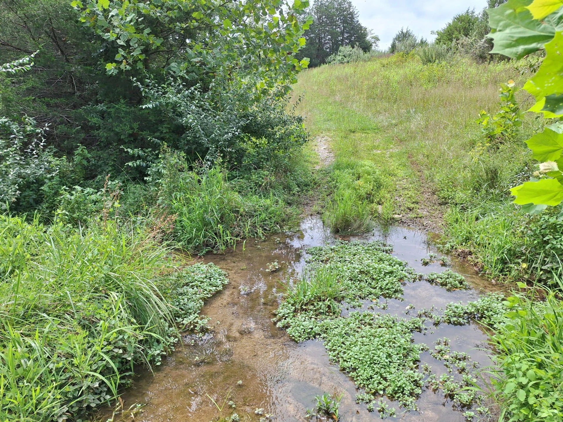 TBD Forge Rd - Photo 2