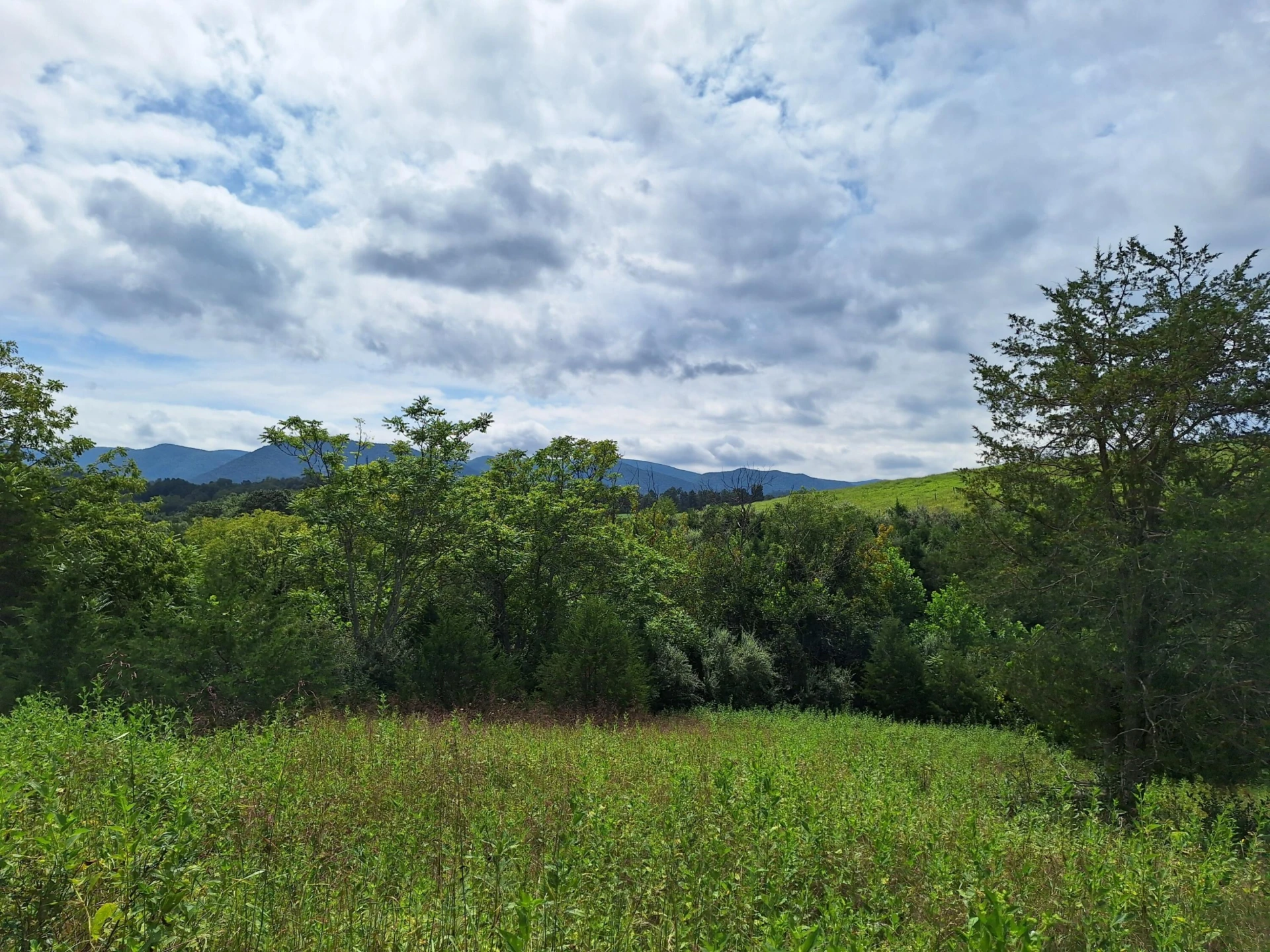 TBD Forge Rd - Photo 3