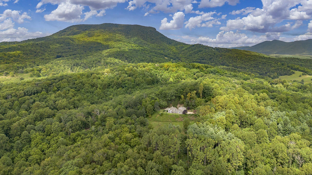 327 Spring Farm Rd - Photo 2