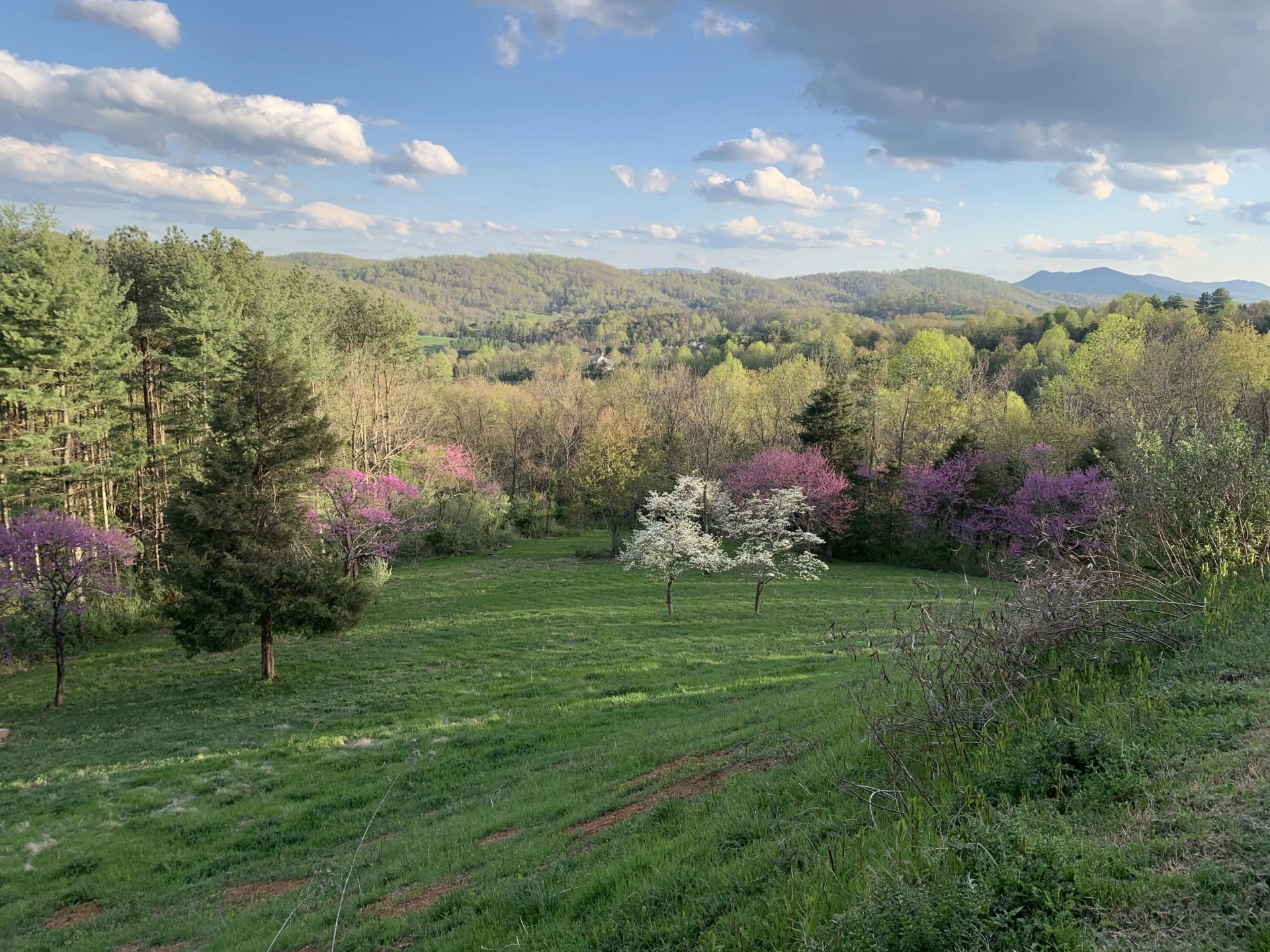 327 Spring Farm Rd - Photo 97